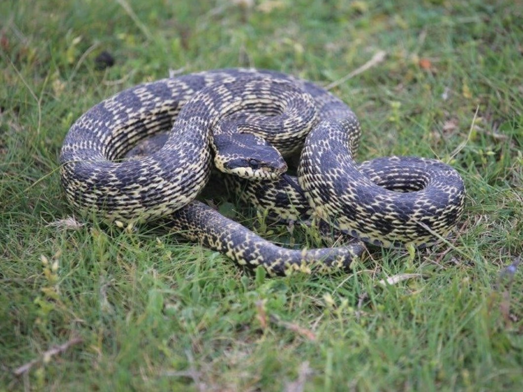uzmanindan yilan deprem iliskisi