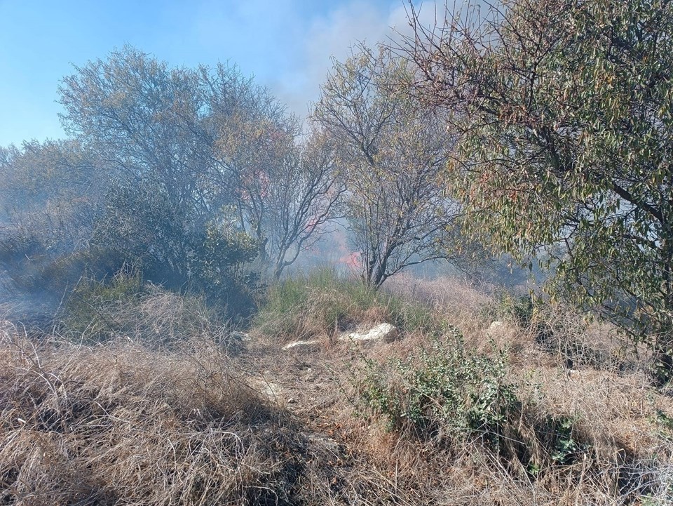 Hatay'da yangının içinde kalan kaplumbağaya can suyu - 2