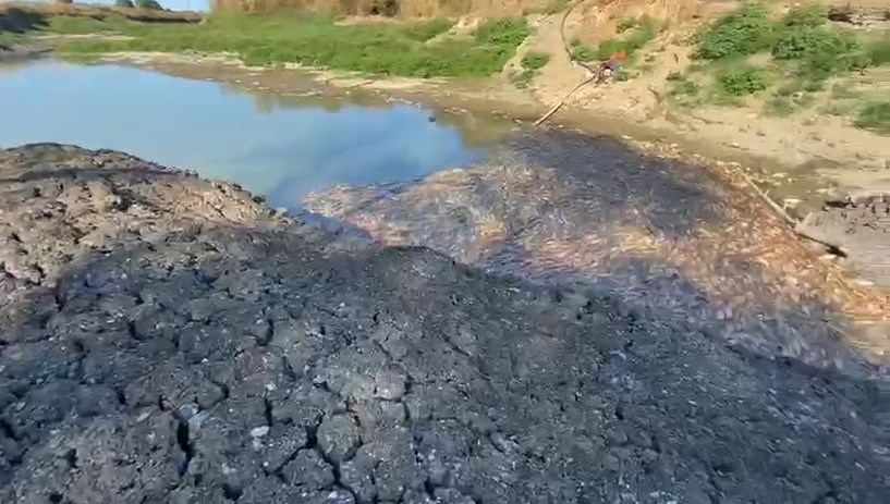 Kocabaş Çayı'nda toplu balık ölümleri
