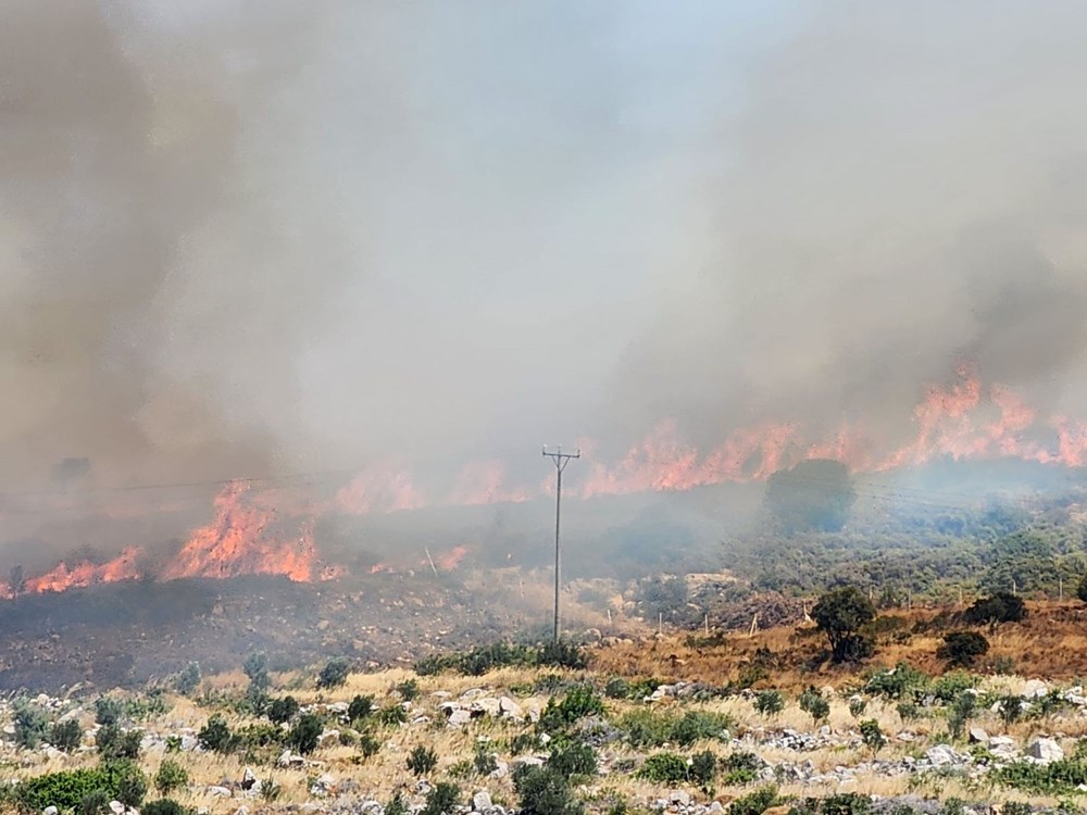Türkiye alevlerle mücadele ediyor: 4 ilde orman yangını, ekiplerin müdahalesi sürüyor - 12