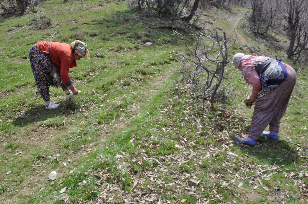 qUEQtrv7vUiMbyUE1YMsCw