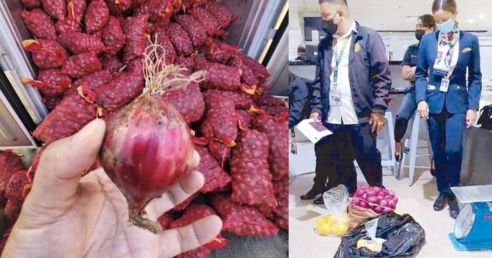'Altın gibi' Filipinler'de soğan artık etten daha pahalı: Soğan kaçakçılığı başladı - 1