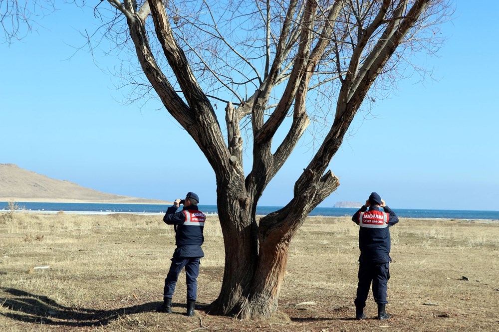 Jandarmanın kuğu nöbeti: Nesilleri tehlike altında - 3