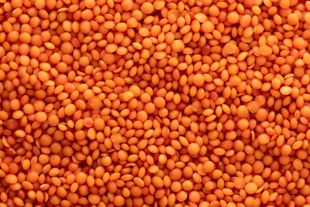 qVxzouLudk65XDvfxcHAEw.jpg