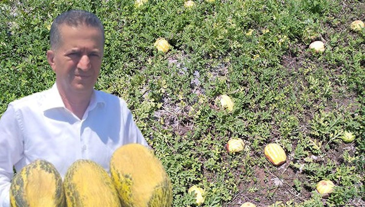 Aşırı sıcaklar hepsini yaktı geçti! Aşırı sıcaklar hepsini yaktı geçti!