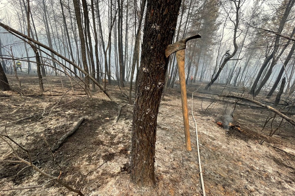 Yunanistan’da yangın felaketinin boyutları ortaya çıktı: 586 yangında 3 kişi öldü, 93 bin 700 hektardan fazla alan yandı - 9