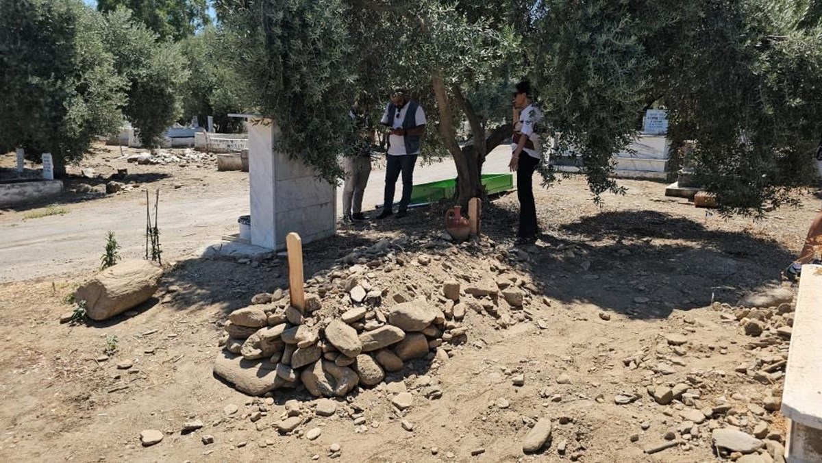 qYJAlgK9xEeZRis7rBr9kg.jpg