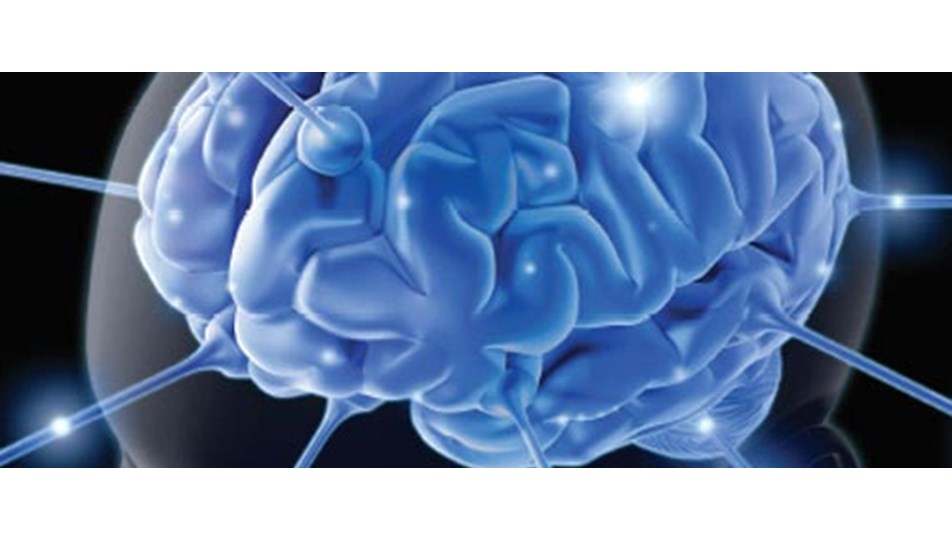 Epilepside 'ani ölüm' geni bulundu
