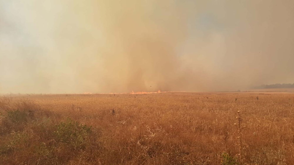 Türkiye alevlerle mücadele ediyor: 4 ilde orman yangını, ekiplerin müdahalesi sürüyor - 18