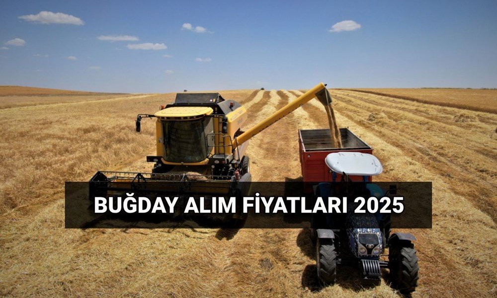TMO makarnalık ve ekmeklik buğday, arpa ne kadar oldu? Hububat alım ücretleri ne zaman yatacak? - 1
