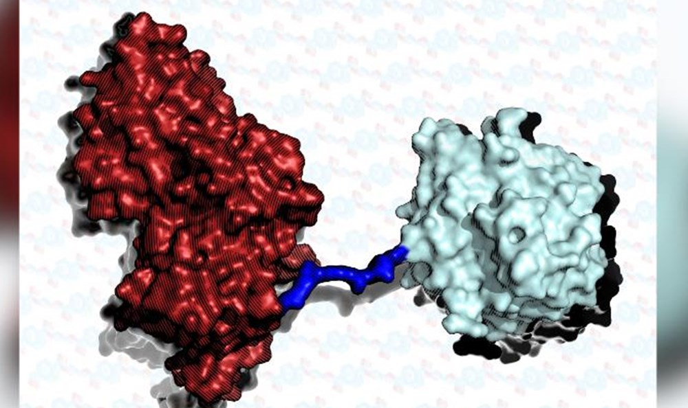 Plastiğin 6 kat daha hızlı çözünmesini sağlayan süper enzim geliştirildi - 3
