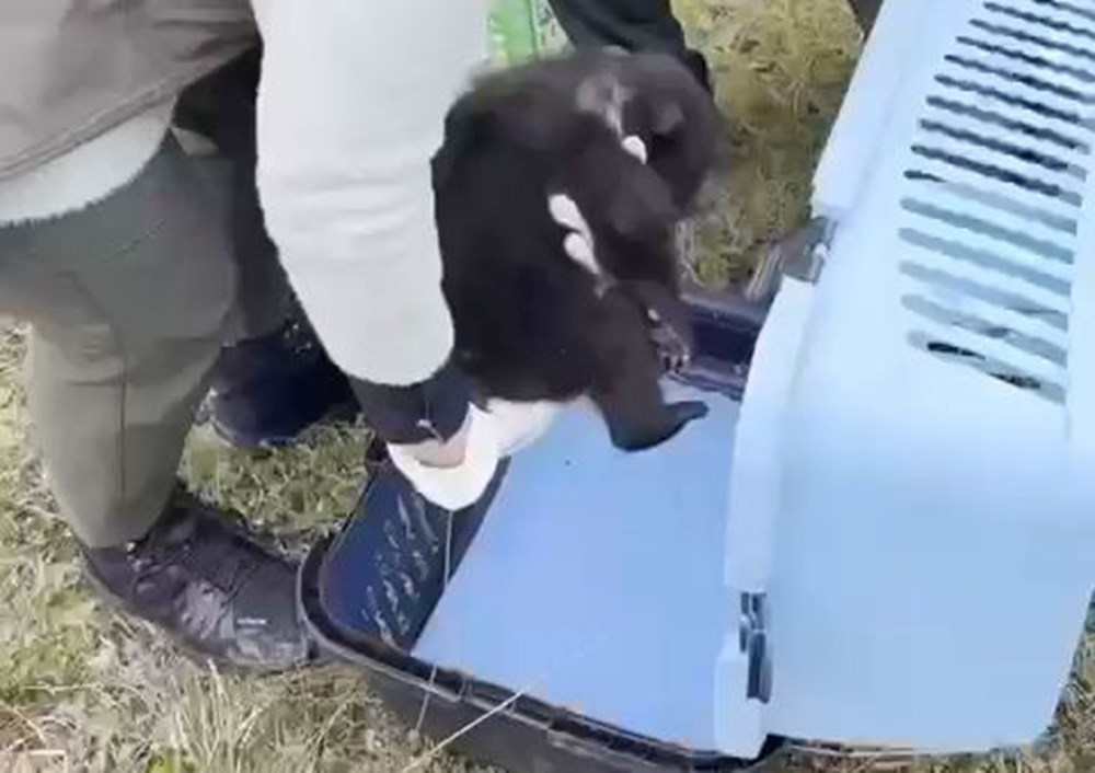 qcjwFQ3P2U CdA7BAgwQSA