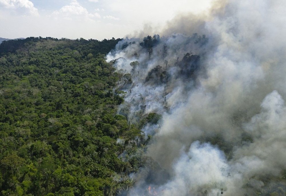 Amazon ormanlarında 14 yıl sonra en büyük kayıp: Haziran ayında rekor alan kül oldu - 8
