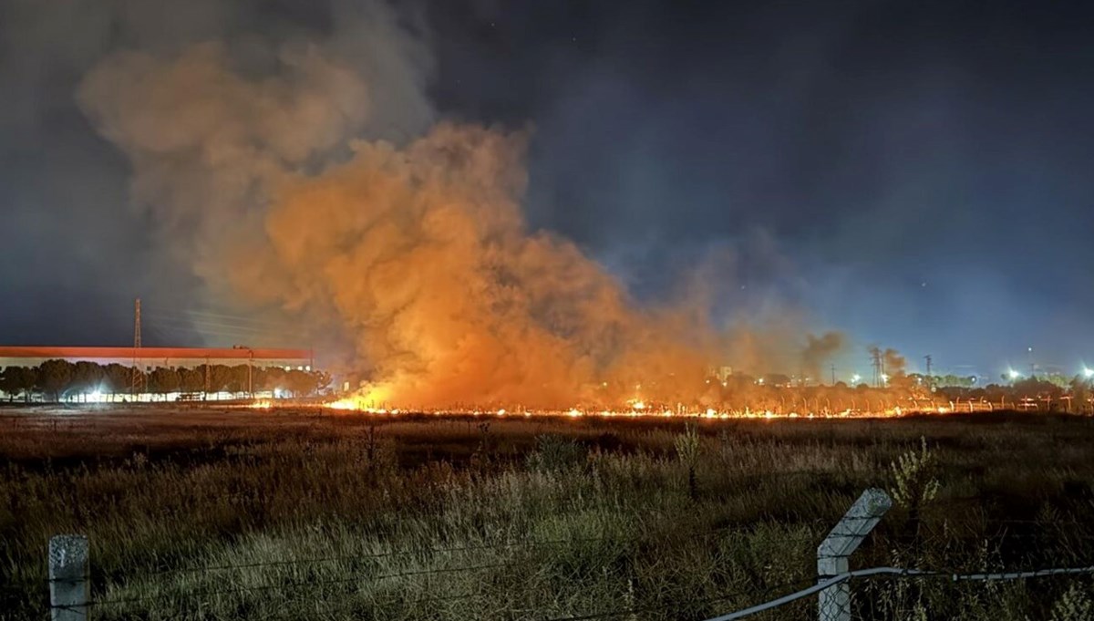 İzmir'de otluk alanda yangın