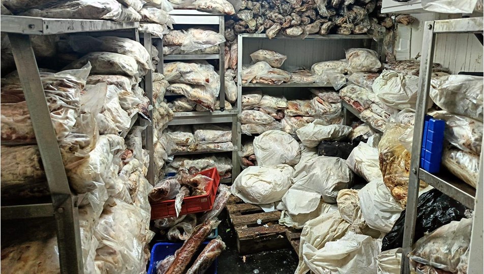 İzmir'de 3,8 ton bozuk et ve balık ele geçirildi