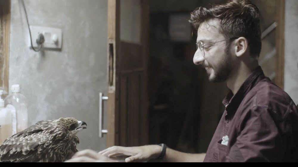 2023 Oscar Ödülleri kısa listesi açıklandı - 1