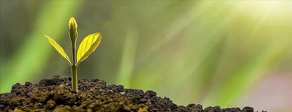 İklim Kanunu nedir? İklim Kanunu unsurları 74 qhR 2JFbNkGgCh5hQoitlQ