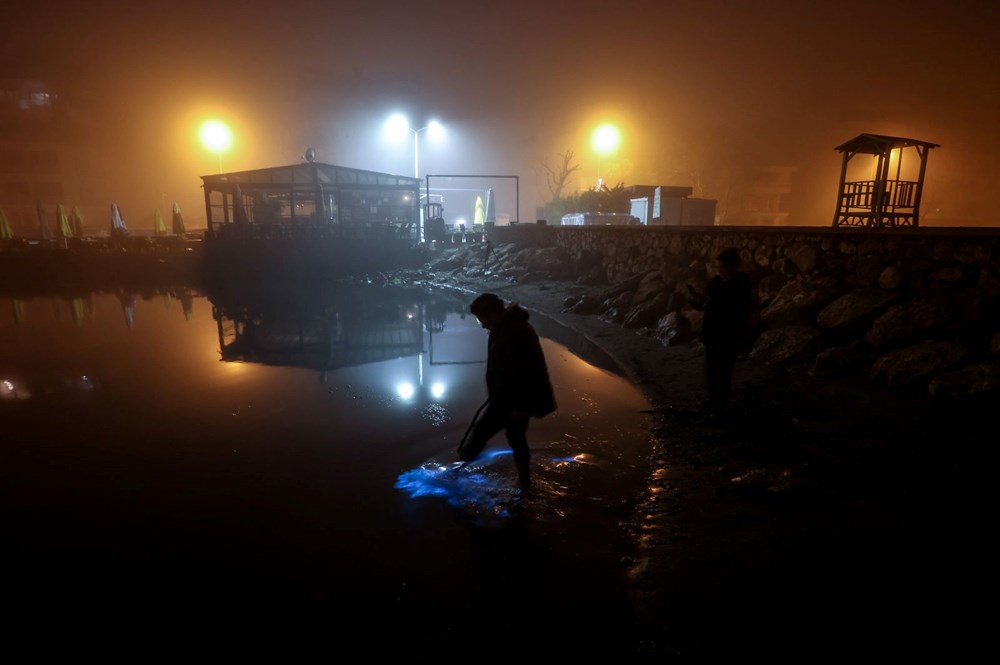 Bursa kıyılarında plankton patlaması: Deniz suyu renk değiştirdi - 2