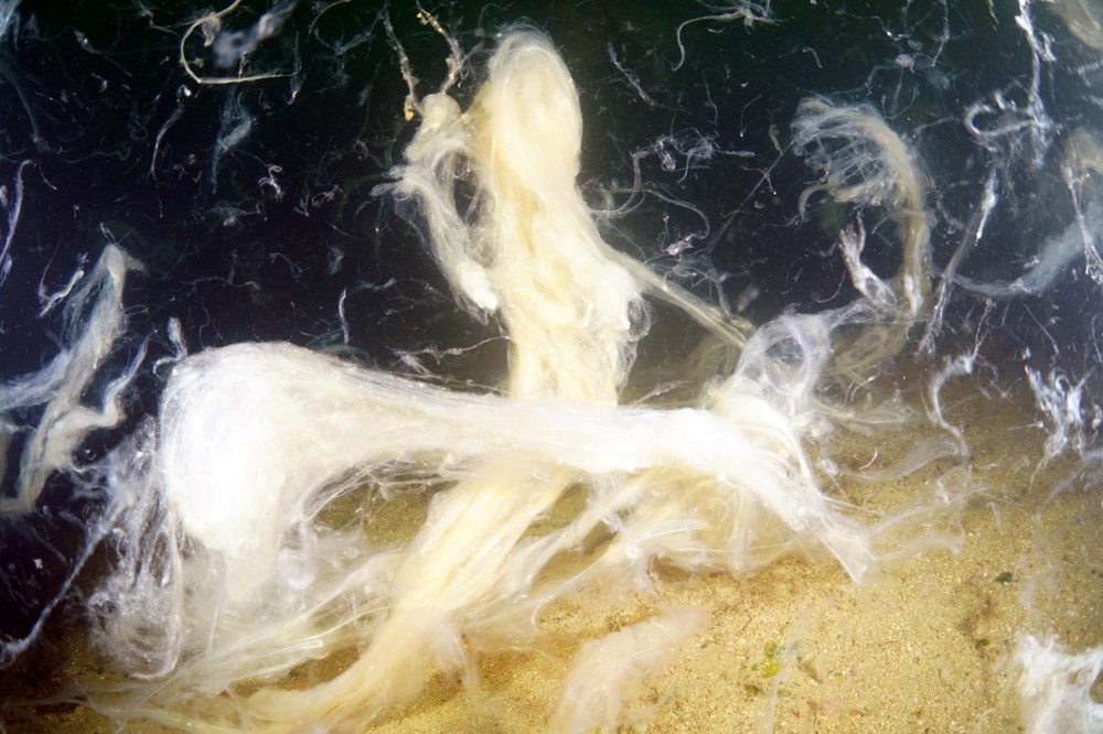 Sualtı görüntülendi... Marmara Denizi'nin müsilajı insan boyutuna ulaştı! Önüne gelen canlıyı hapsediyor - 12