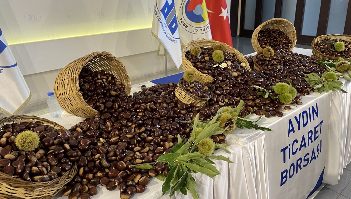 Aydın'da sezonun ilk kestaneleri kilogramı 500 liradan satıldı Aydın'da sezonun ilk kestaneleri kilogramı 500 liradan satıldı