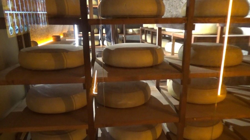 Türkiye'nin Gururu: Peynir Müzesi, Dünyanın En Seçkin Rotasında! 77 qnPBg J2B0m52ONZNA4DBw