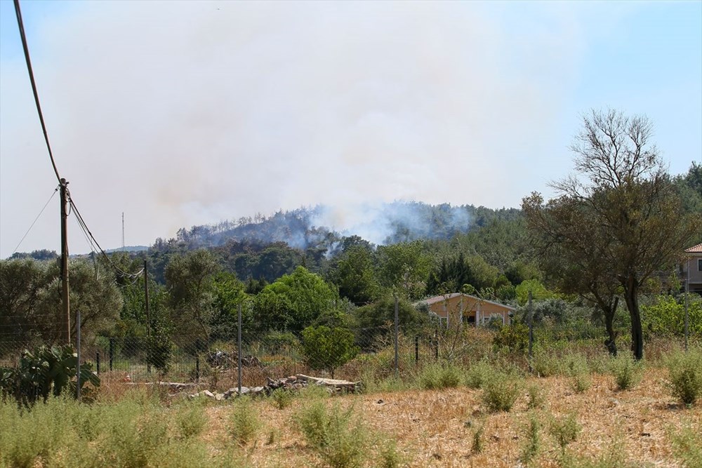 İzmir'in Menderes ilçesindeki yangına bir gözaltı - 9