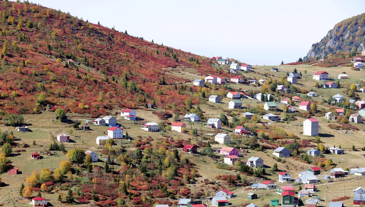 Trabzon-Giresun sınırındaki Sis Dağı'nda güz zamanı