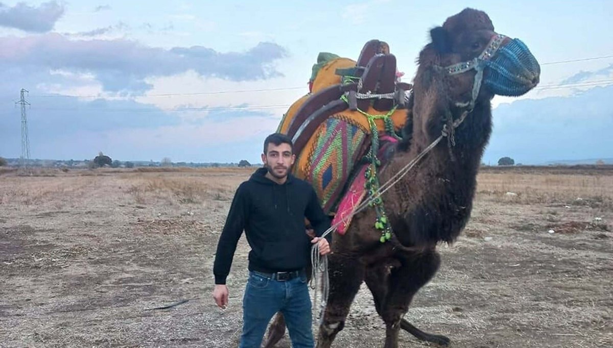 Devecilerin kavgası cinayetle bitti Devecilerin kavgası cinayetle bitti
