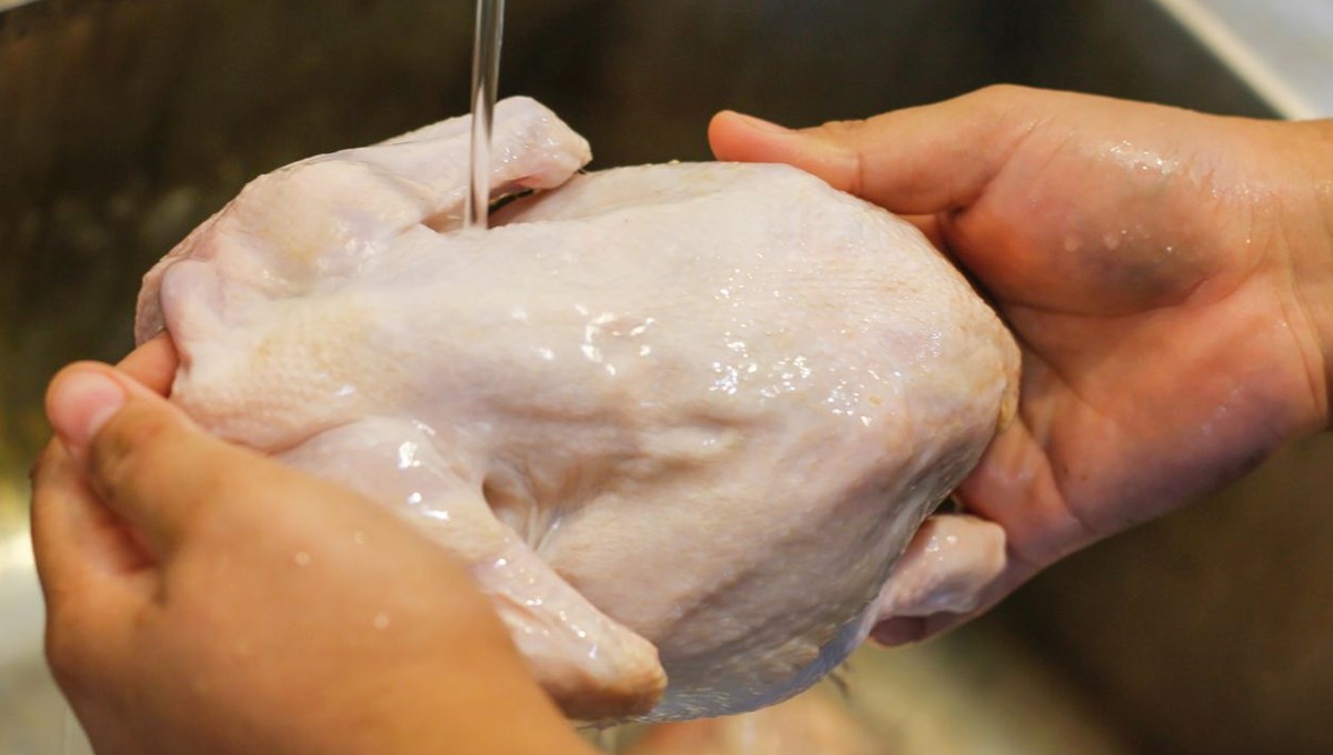 Tavuğun en faydalı yeri neresi?