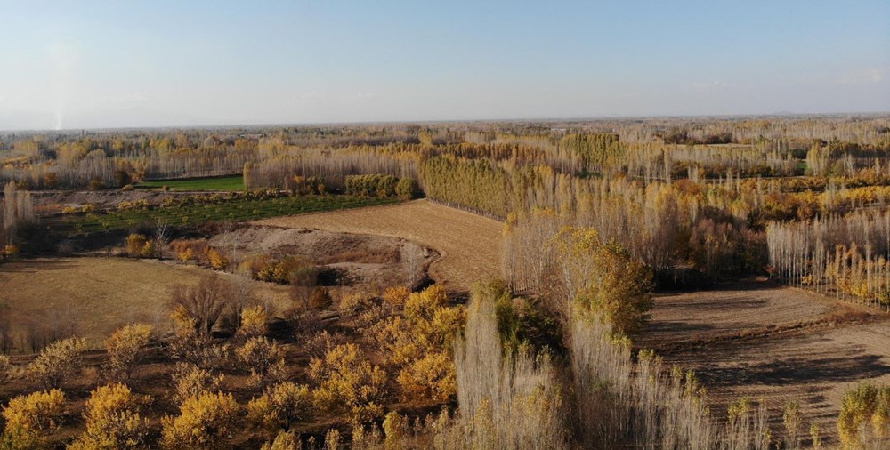 Hz. Adem ve Havva'nın yaşadığına inanılan İrem Bağları'na ziyaretçi akını - 2