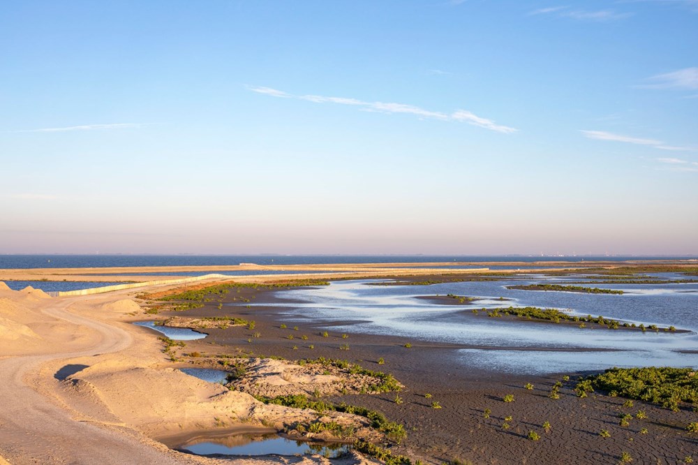 Dünya haritasının yeni üyesi: Marker Wadden - 3