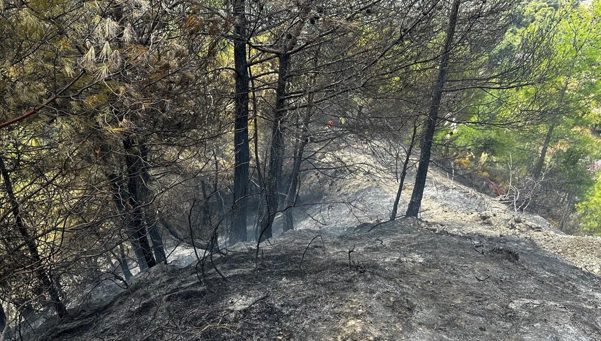 Hatay'da çıkan orman yangını söndürüldü Hatay'da çıkan orman yangını söndürüldü