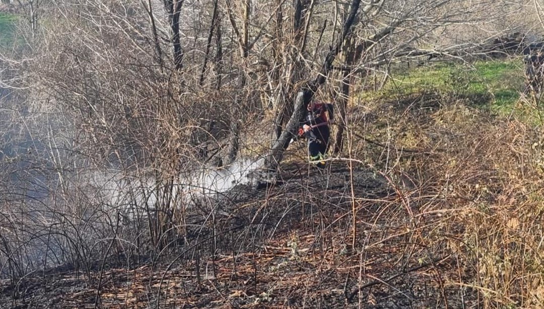 Sinop'ta orman yangını: 5 hektarlık alan zarar gördü