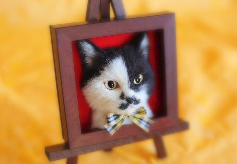 Japon sanatçıdan 3 boyutlu kedi portreleri NTV