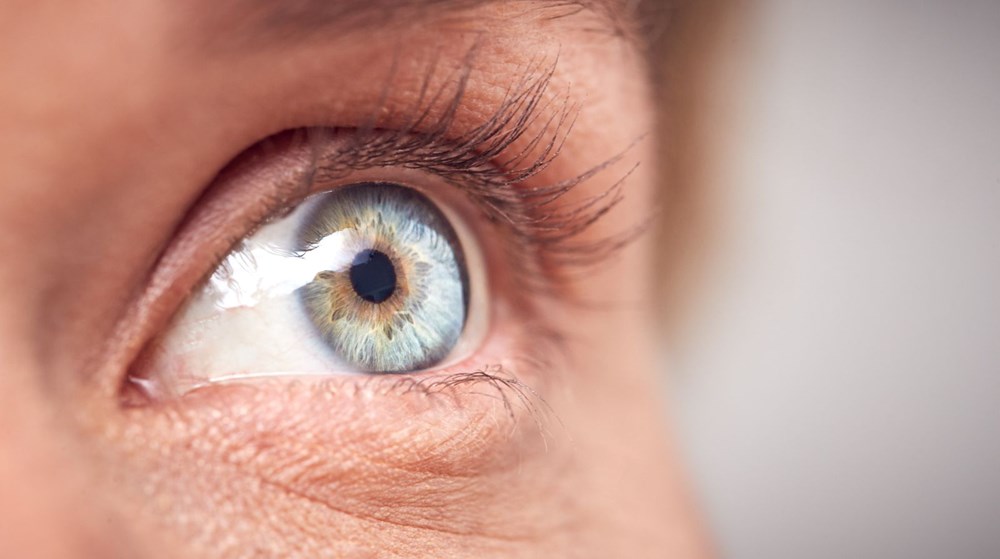 Araştırmalara göre dünyadaki
tüm mavi gözlü insanlar aynı soydan geliyor - 3