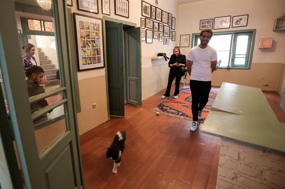 İran'da kedi kafe açıldı: Ziyaretçilerden yoğun ilgi - 13