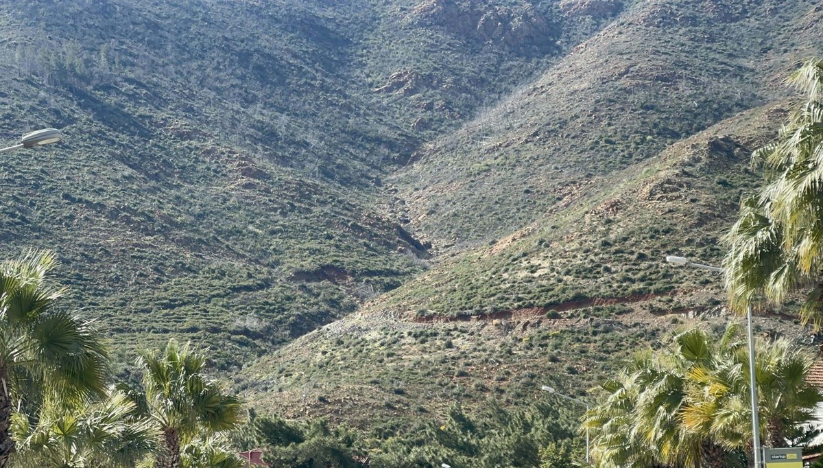3 yıl önce yanan Marmaris ormanları yeşermeye başladı