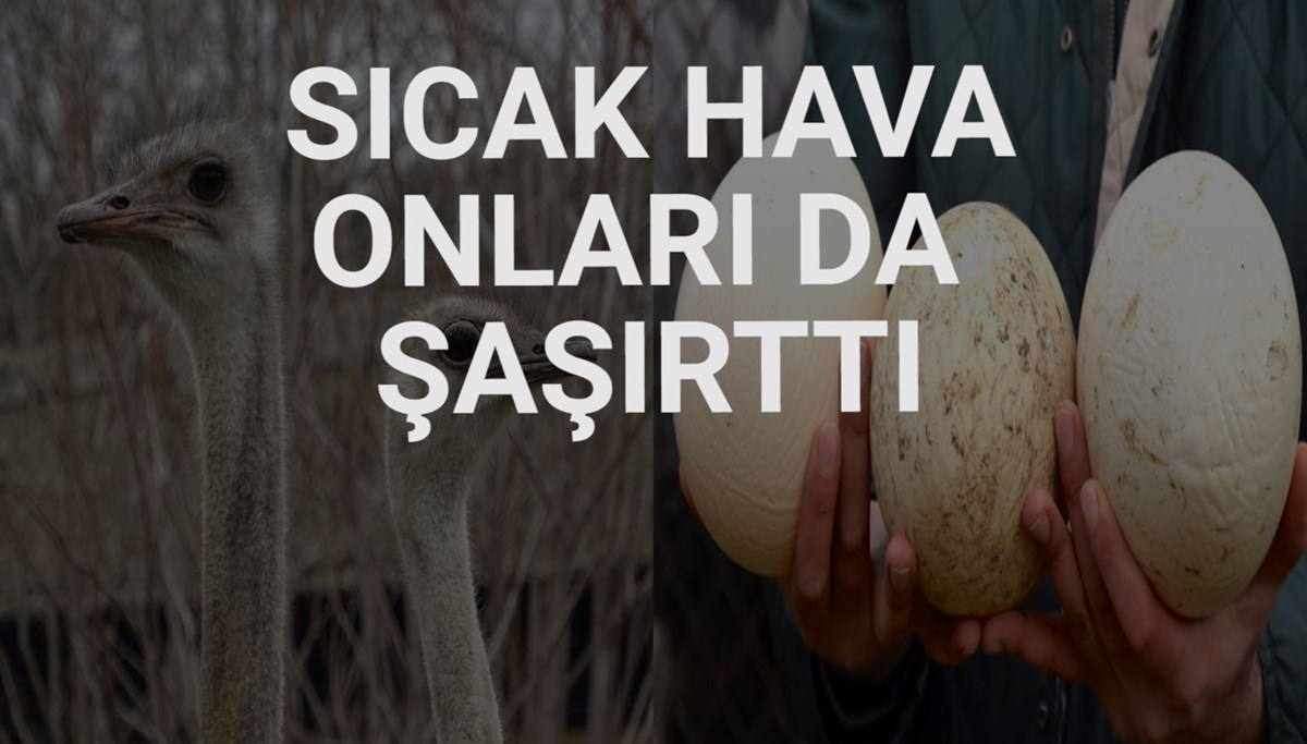 qv2N06LRvUCsap_3C4B2EQ.jpg