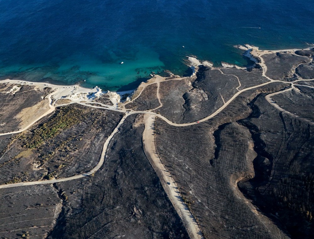 Çeşme'deki orman yangınında 3 kişi hayatını kaybetti: Yangının çıkış nedeni belli oldu - 3