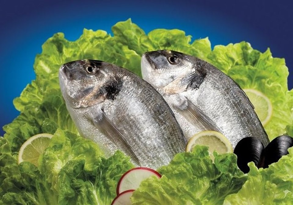 "Balığı kızartmadan yiyin" - 1