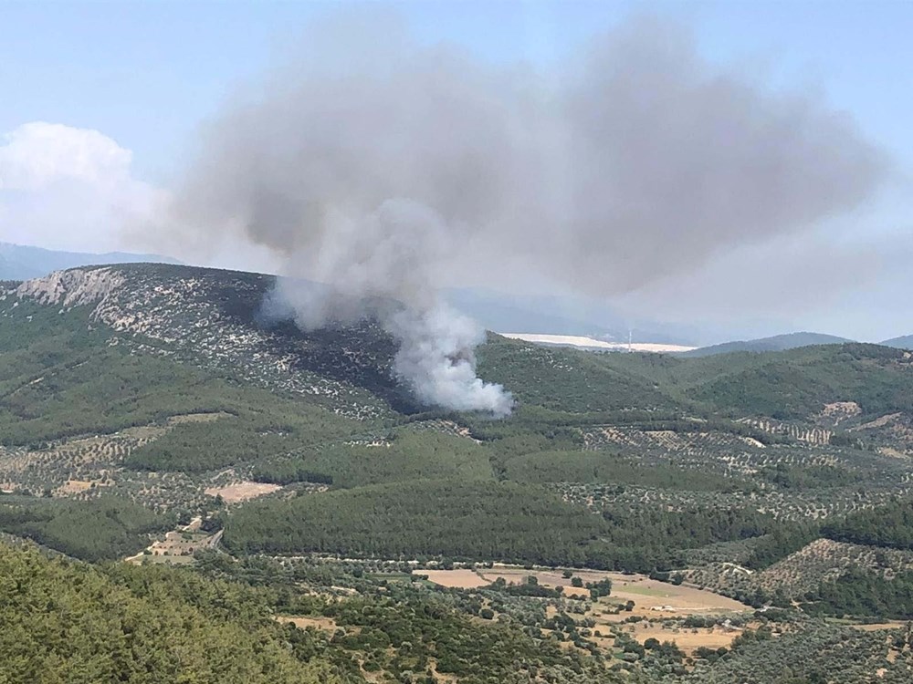 Bursa, Muğla ve Antalya'da orman yangını - 8