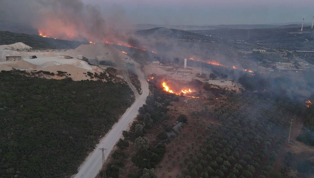İzmir'de orman yangınları
