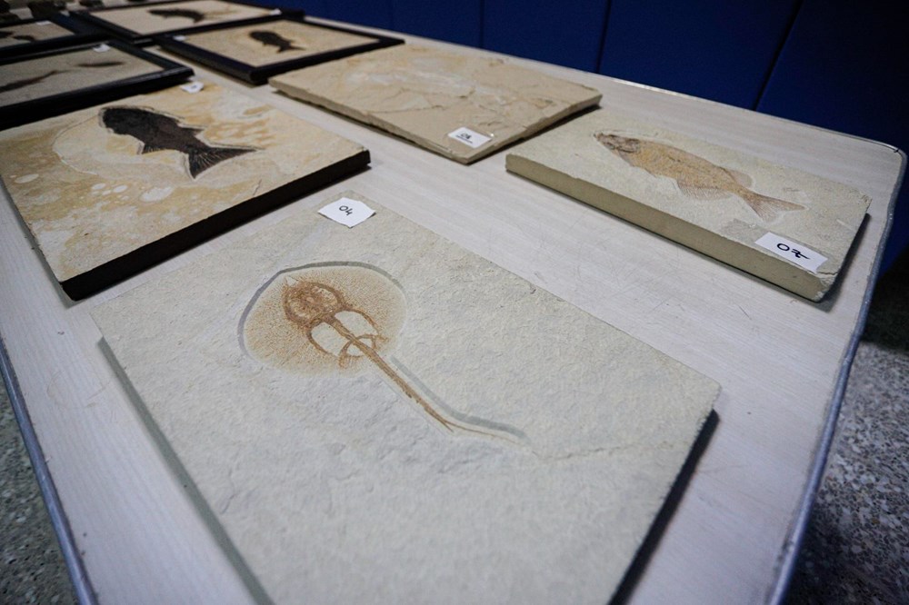 Adnan Oktar'ın kaçak fosilleri 417 milyon yıl öncesine ait çıktı - 2