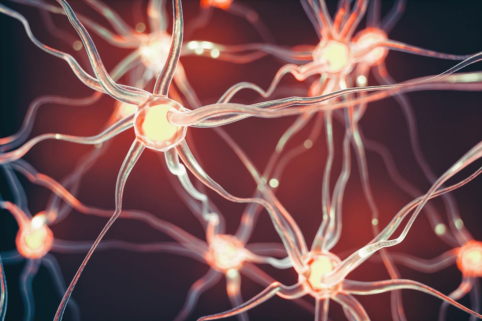Alzheimer için umut veren çalışma: Nöronlar "çöp"ten geri kazanıldı - 2