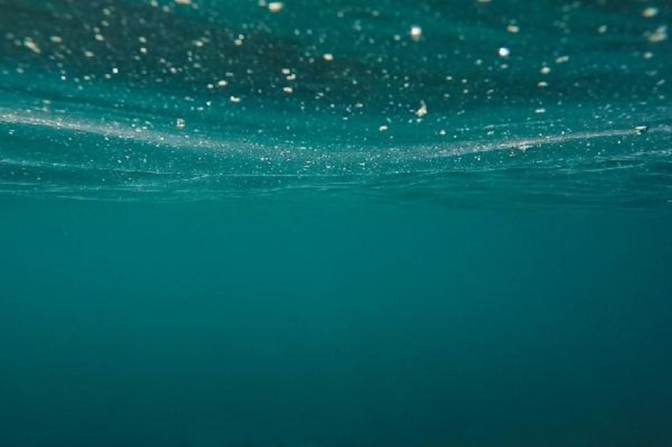 2020 'Sessiz Okyanus Yılı' ilan edildi - 2