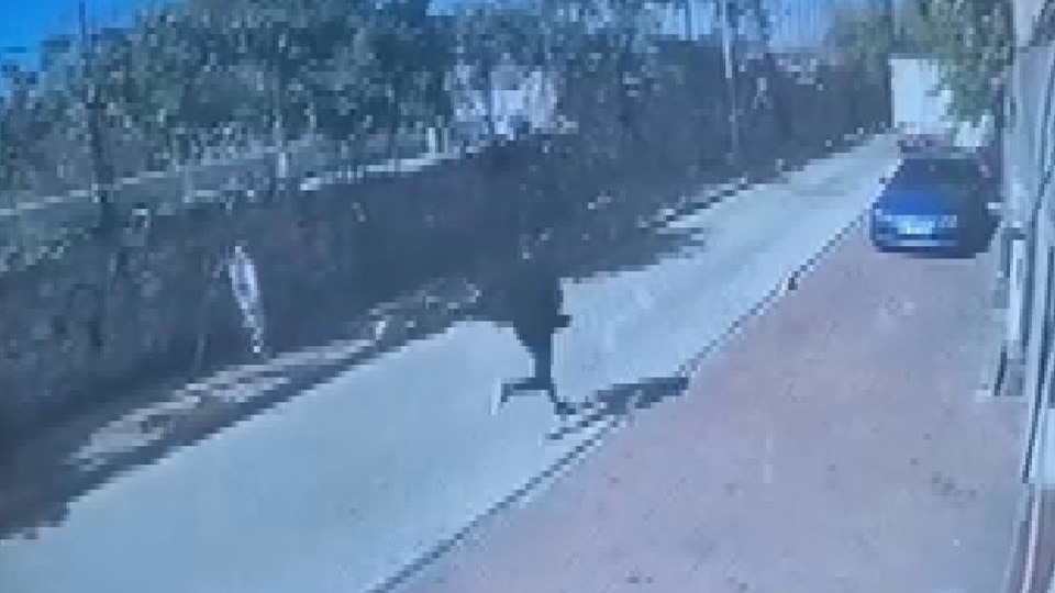 İstanbul'da iki polisi yaralayan seri cinayet zanlısı yakalandı - 1