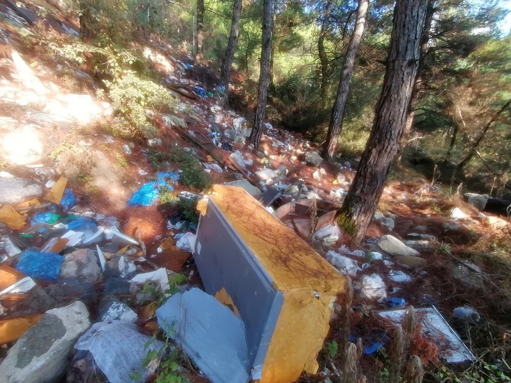 Bursa'da yeni çevre katliamı - 2