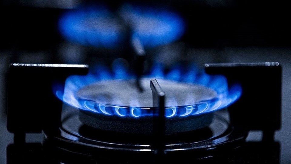 EU countries prepare for joint gas purchase - 1