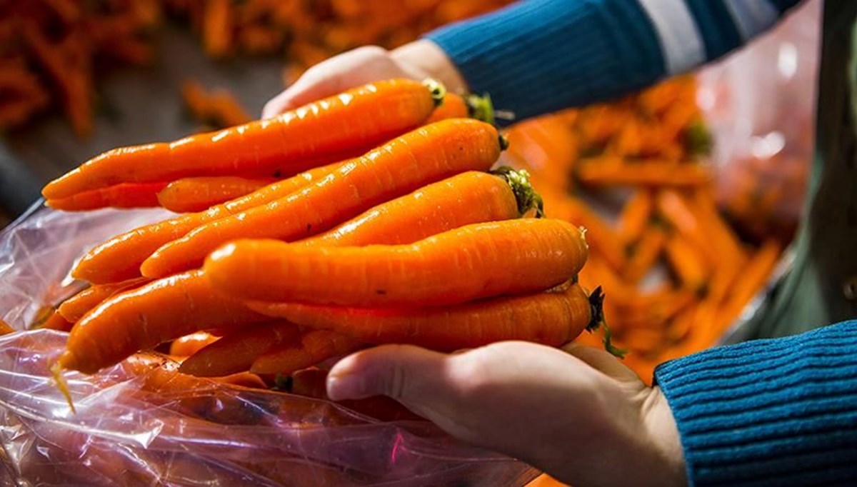 ABD'de paketli havuçlarda koli basili bakterisi: Bulaşan 39 kişiden biri öldü ABD'de paketli havuçlarda koli basili bakterisi: Bulaşan 39 kişiden biri öldü
