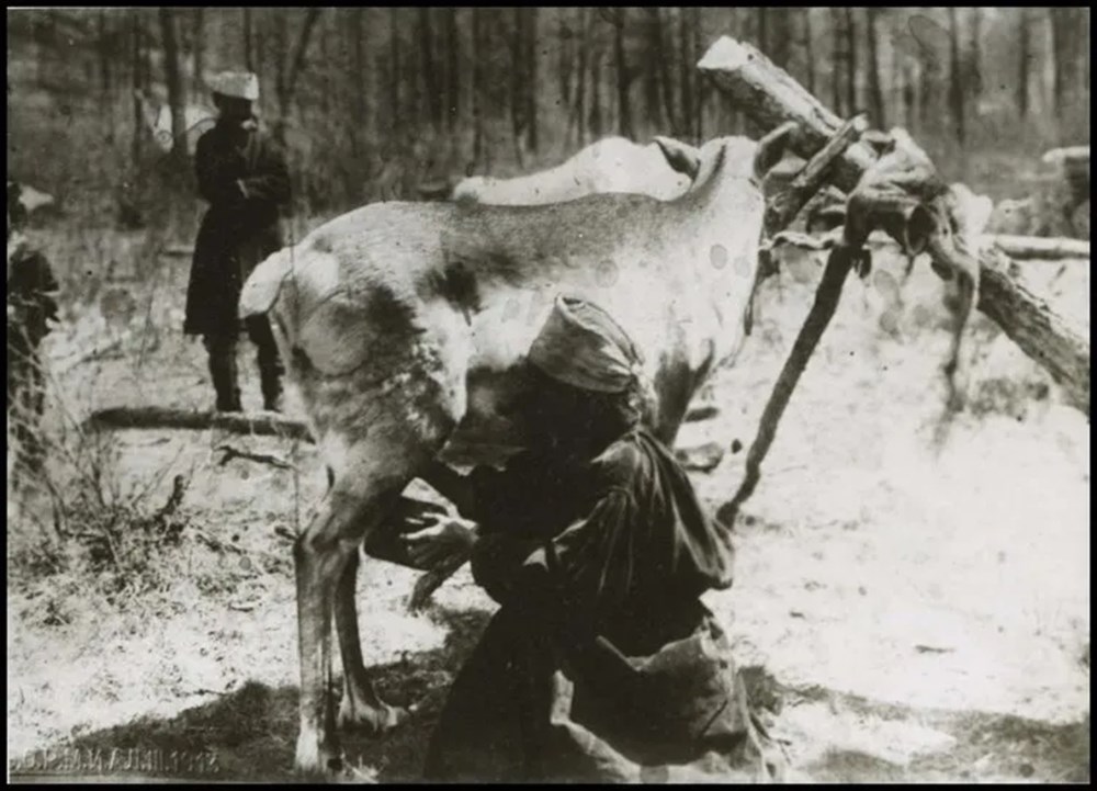 Bilim kurgu değil Türk boylarının 111 yıllık fotoğrafları. Gizemli heykeller, gelişmiş aletler, tanıdık kıyafetler (106 fotoğrafla gizemli Türk tarihi) - 98